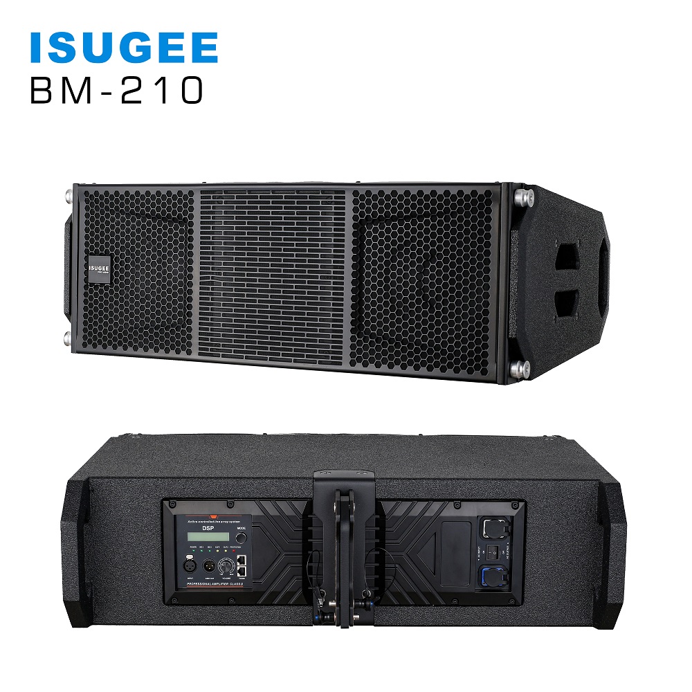 BM210